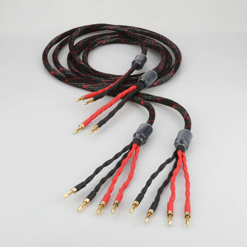Audiocrast HI-End Western Elec - Musical Instrument Image incelemesi ve fiyatı