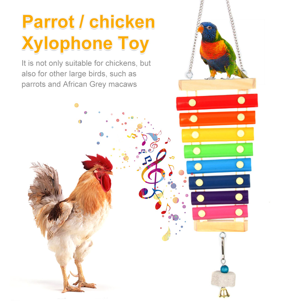 Bird Chicken Xylophone Toy Woo - Musical Instrument Harmonium incelemesi ve fiyatı