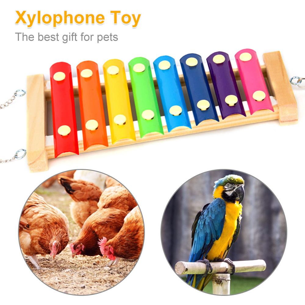 Bird Chicken Xylophone Toy Woo - Musical Instrument Harmonium incelemesi ve fiyatı
