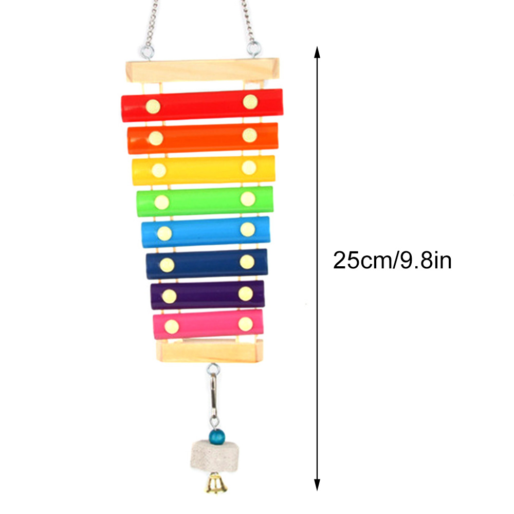 Bird Chicken Xylophone Toy Woo - Musical Instrument Harmonium incelemesi ve fiyatı