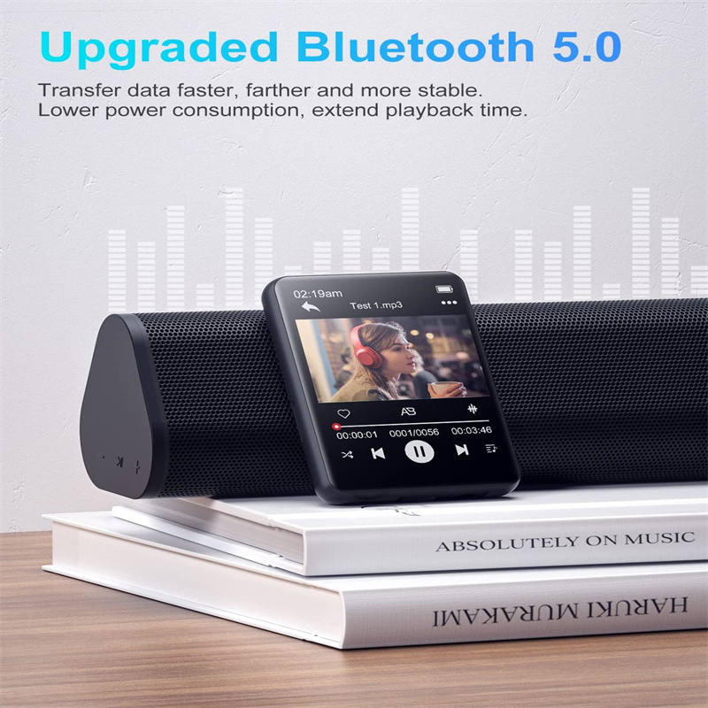 P1 8GB No FM No Video No Pictu - Musical Instrument Image incelemesi ve fiyatı