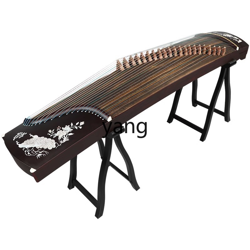 LT test entry level 10 playing - Musical Instrument Guzheng incelemesi ve fiyatı