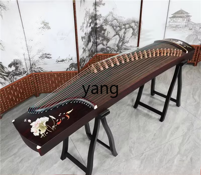 LT test entry level 10 playing - Musical Instrument Guzheng incelemesi ve fiyatı