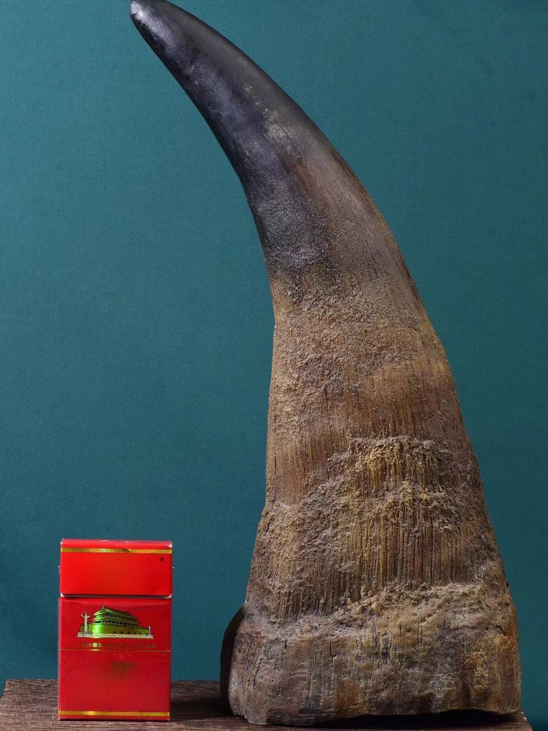 Natural African Large Horned I - Musical Instrument Africa incelemesi ve fiyatı