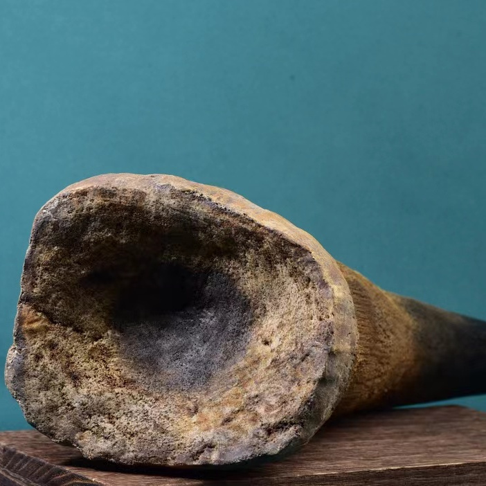 Natural African Large Horned I - Musical Instrument Africa incelemesi ve fiyatı